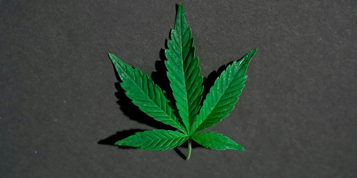 Unleashing The Potential: Sativa Vs Indica Effects Explored 1 Sativa Vs Indica Effects