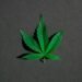 Unleashing The Potential: Sativa Vs Indica Effects Explored 8 Sativa Vs Indica Effects