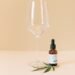 Finding Calm In The Chaos: Sativa Vs Indica For Anxiety Explained 8 Sativa Vs Indica For Anxiety
