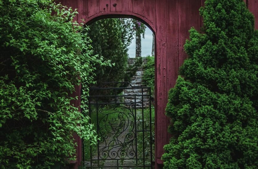 From Seeds To Blooms: Home Depot Garden Centers Abundance 1 Home Depot Garden Center