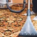 The Importance Of Regular Rug Cleaning In Philadelphia 8 The Importance Of Regular Rug Cleaning In Philadelphia