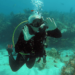 How To Find The Best Scuba Diving Charters Near Me In The Florida Keys 8 How To Find The Best Scuba Diving Charters Near Me In The Florida Keys
