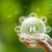 From Molecules To Mixtures: The Importance Of Hcooch Ch2 H2O 7 The Importance Of Hcooch Ch2 H2O