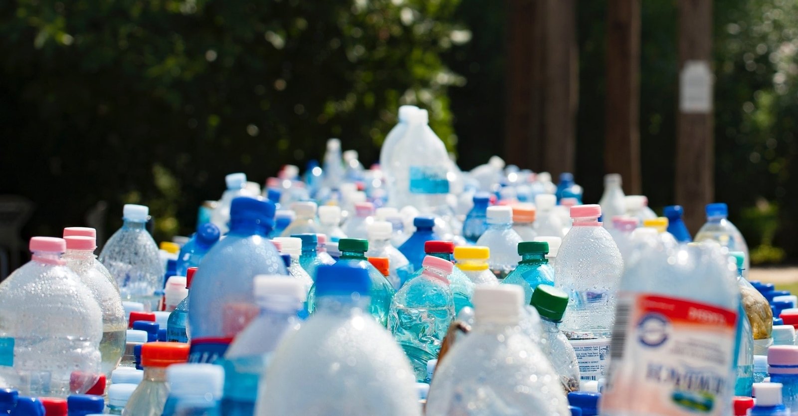 How To Make Money From Bottle Recycling?