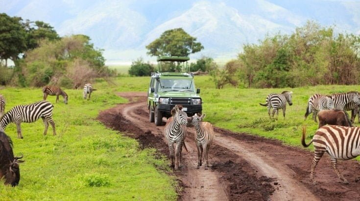 Top Tourist Spots In Tanzania 2 Serengeti National Park