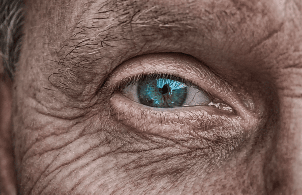 ≪Strong≫Proven Treatment Strategies For Armd≪/Strong≫ 2 ≪Strong≫Proven Treatment Strategies For Armd≪/Strong≫ 1