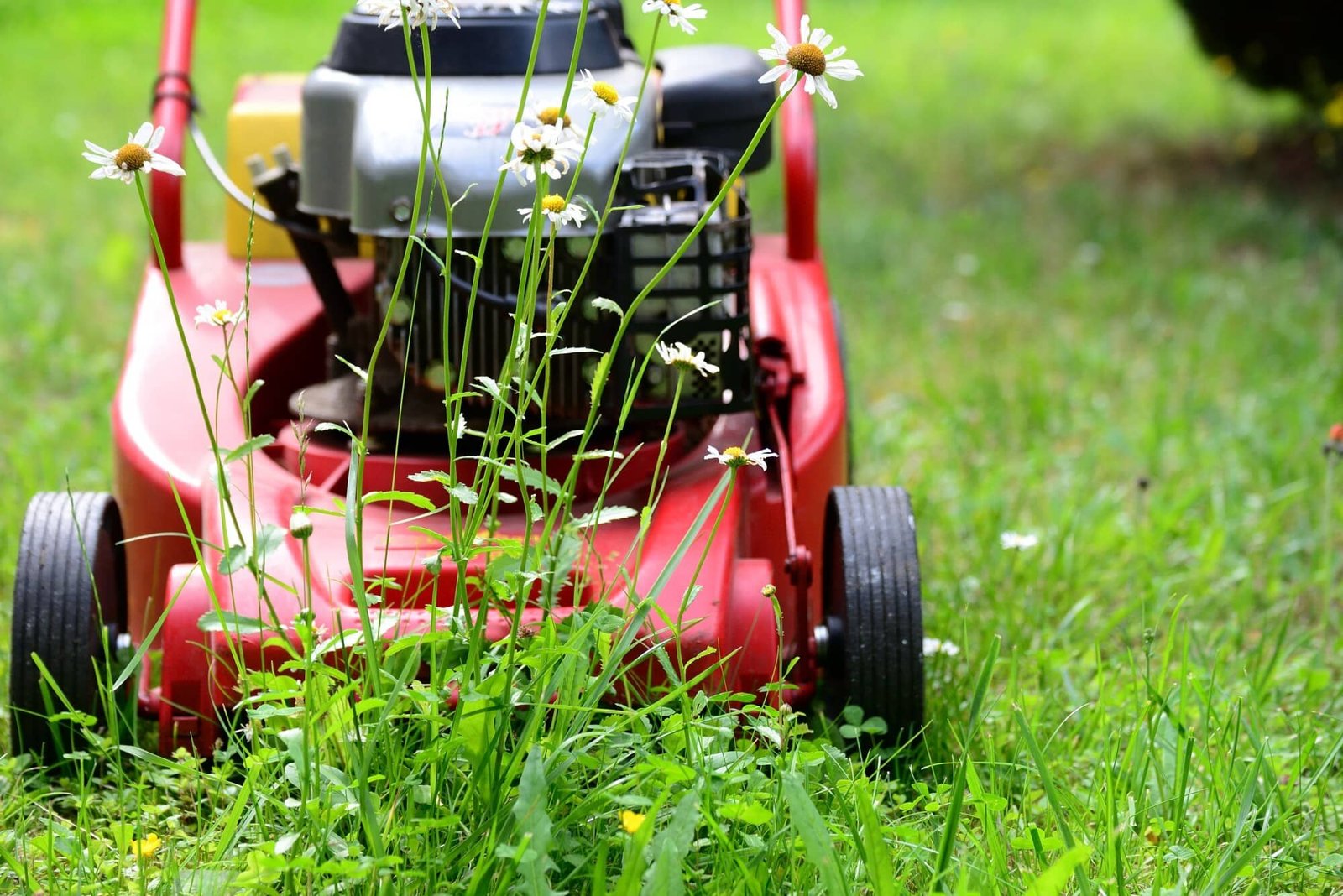 Managing Your Lawn Care Business