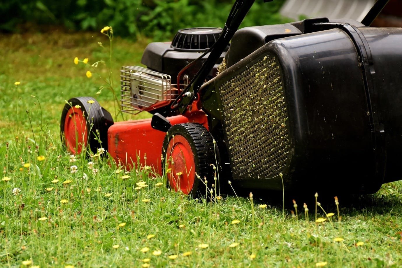 Selecting Lawn Care Providers