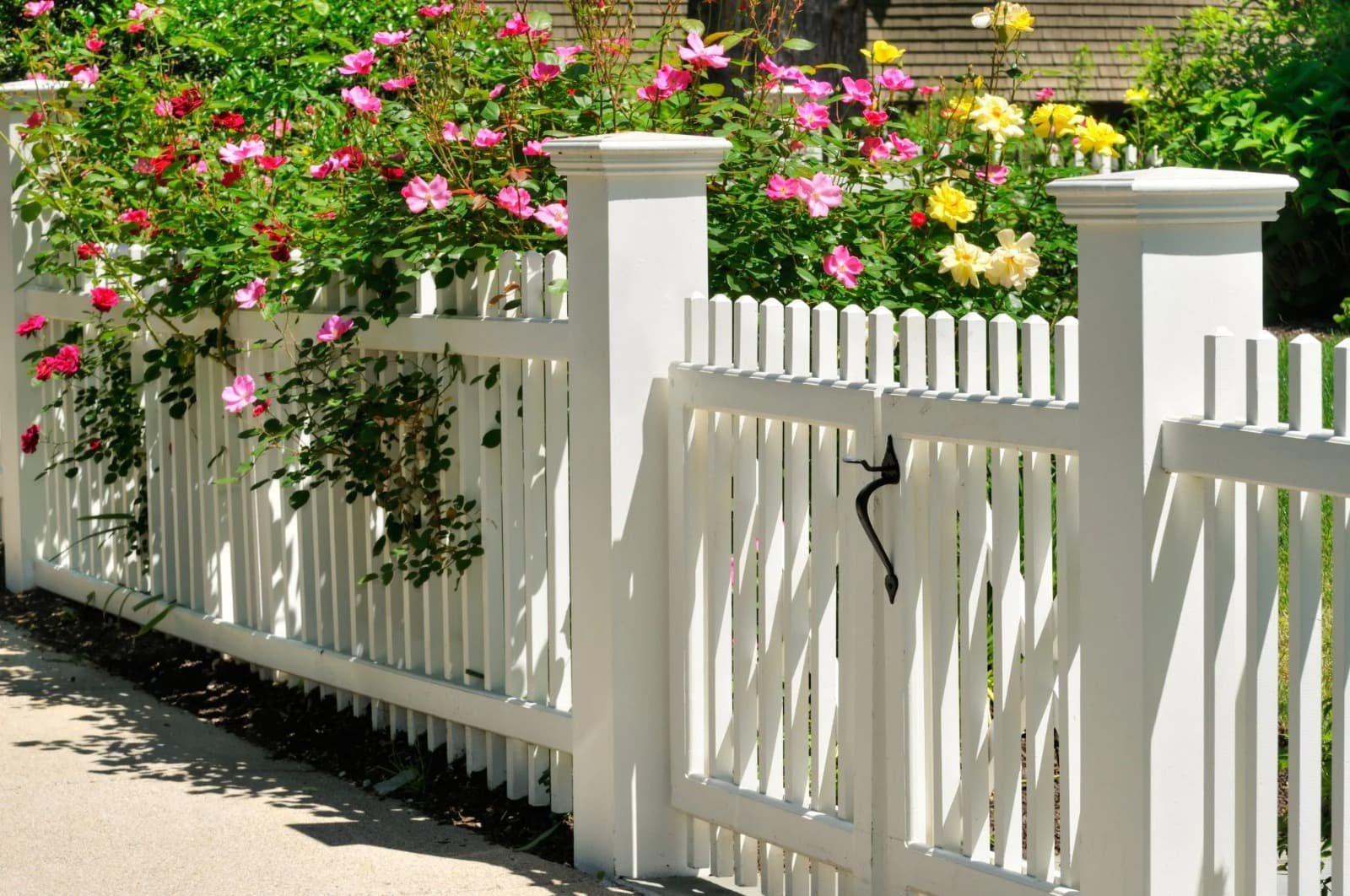 Fence Landscaping Ideas
