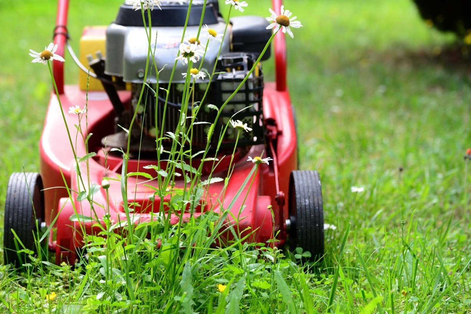 Lawn Care And Landscaping