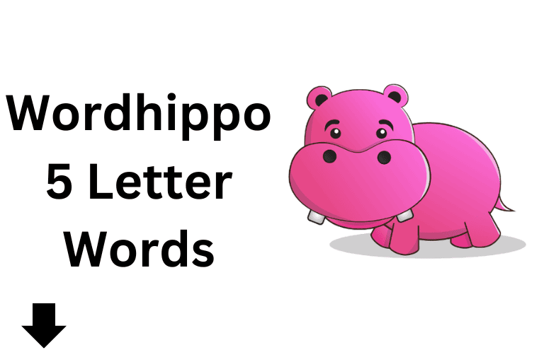 Wordhippo's Comprehensive Guide To The 5Letter Word