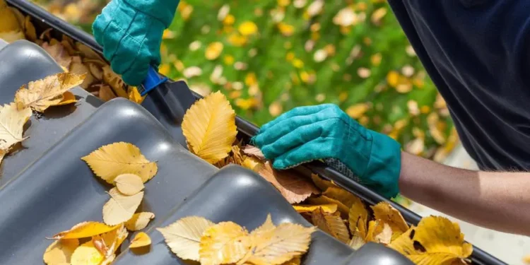 How To Choose The Right Gutter Cleaning Service In Dublin? 1