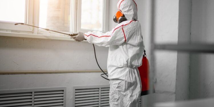 How A Mold Assessor Can Help You Avoid Costly Remediation