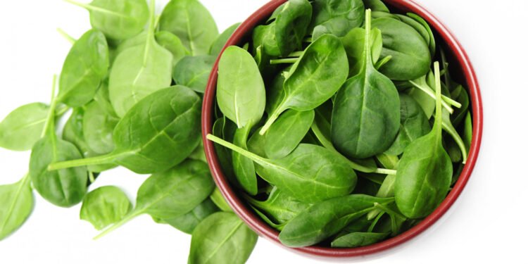 Spinach 101 Everything You Need To Know About This Leafy Superfood
