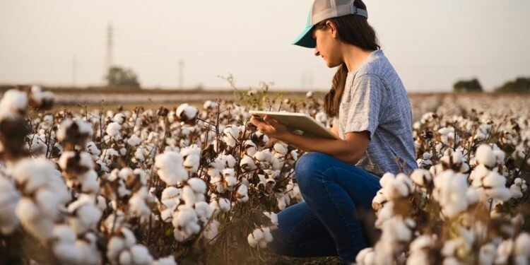 Navigating The Waves Of Cotton: In-Depth Insights Into Ice Cotton Prices And Market Trends 1