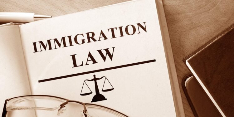 How The Best Immigration Lawyers Helped Clients Achieve Their Dreams 1