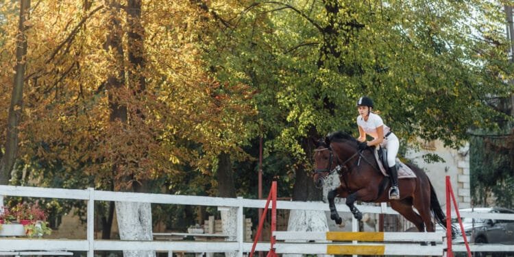 5 Essential Elements For A Successful Horse Obstacle Course