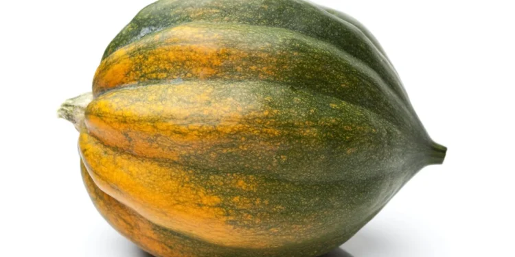 Food Pantries That Give Away Stuff People Can’t Or Won’t Cook Have An ‘Acorn Squash Problem’
