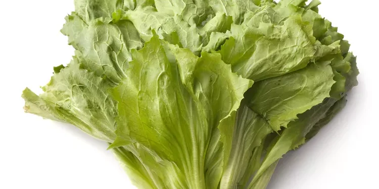What Is Escarole And How Can I Use It?