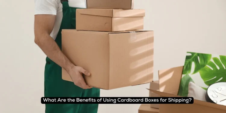 What Are The Benefits Of Using Cardboard Boxes For Shipping? 1