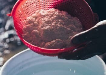 Cottage Cheese Nutrition