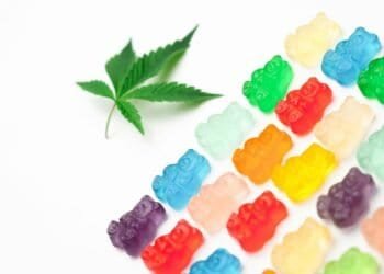 Indica Vs Sativa Effects