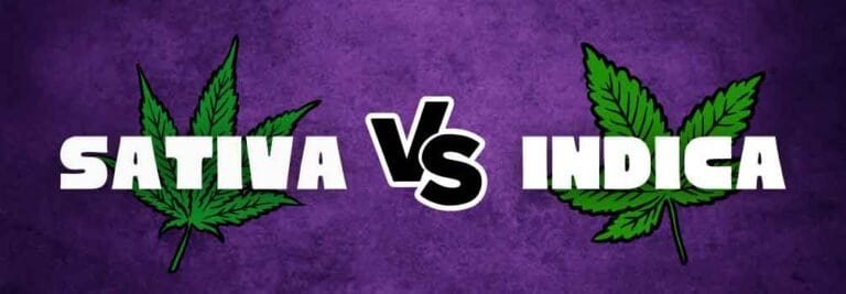 sativa vs indica high