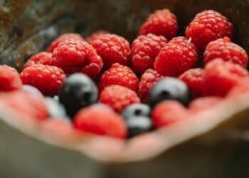 Weight Loss Meal Plans