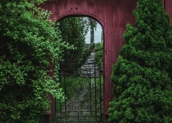 Home Depot Garden Center