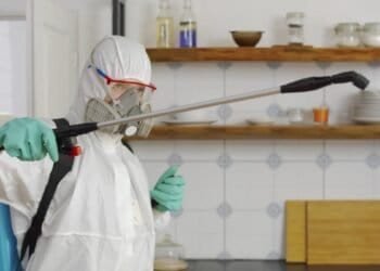 Pest Management Solutions