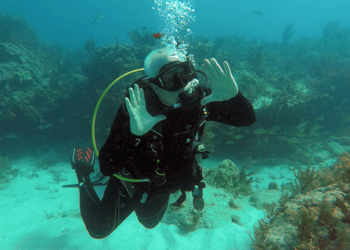 How To Find The Best Scuba Diving Charters Near Me In The Florida Keys