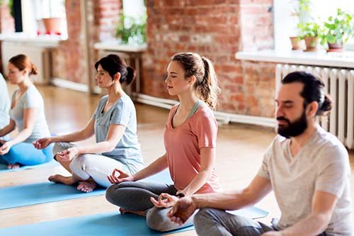 Getwildfulness.com/: Redefining Wellness In The Digital Age 1