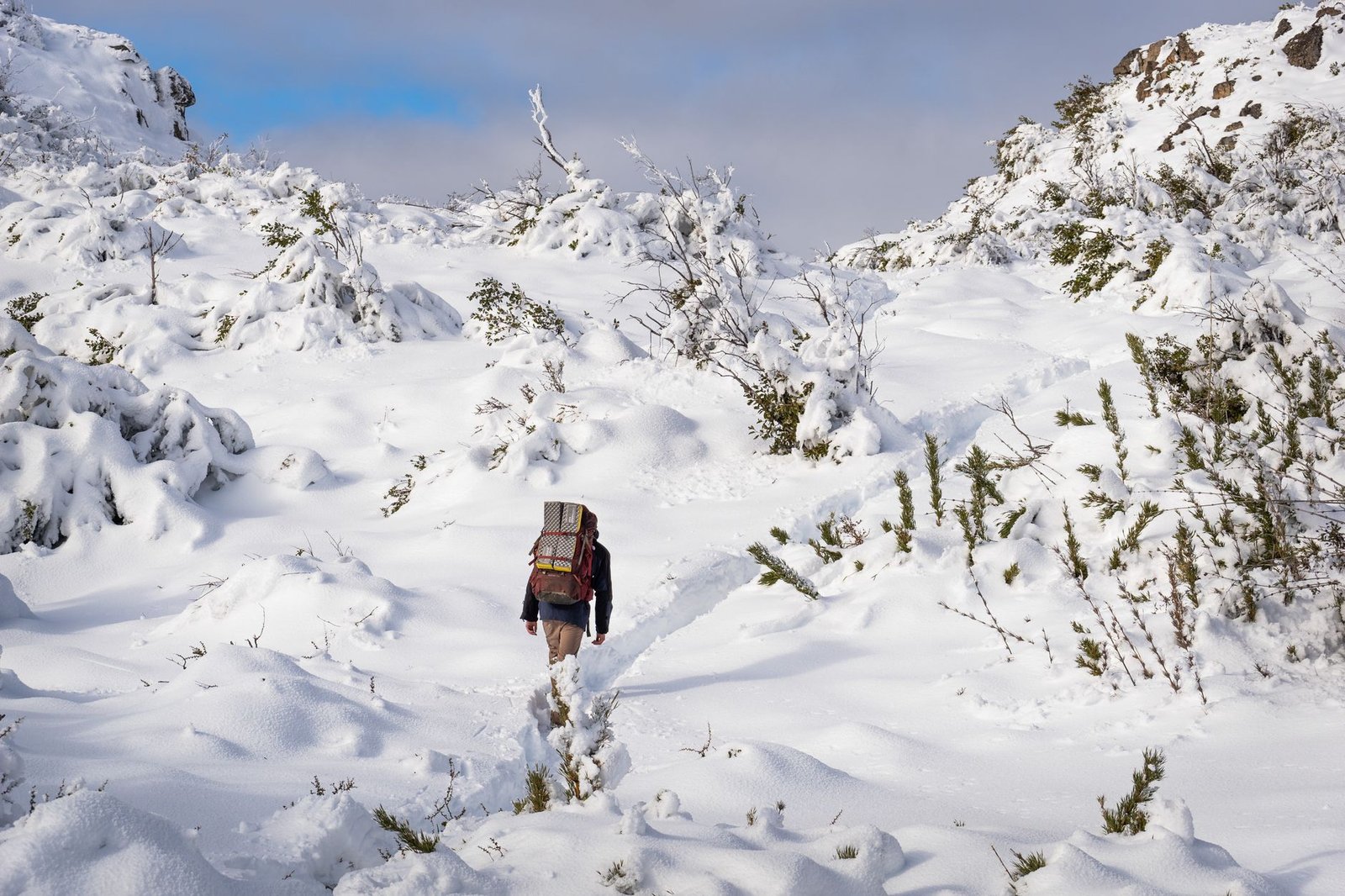 2026-2027 El Niño Winter Forecast: How New Weather Patterns Will Impact Your Home