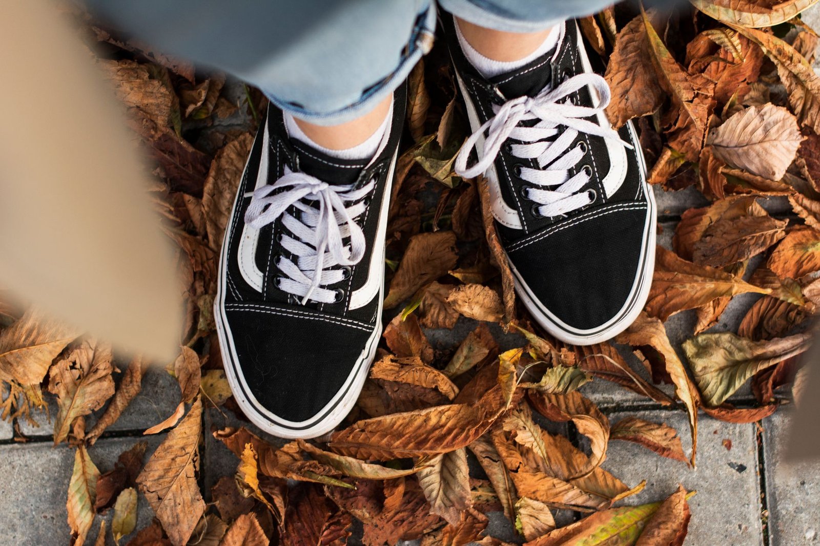 A curated collection of Fall 2026 sneaker trends showing slim silhouettes and technical runners in earthy tones.